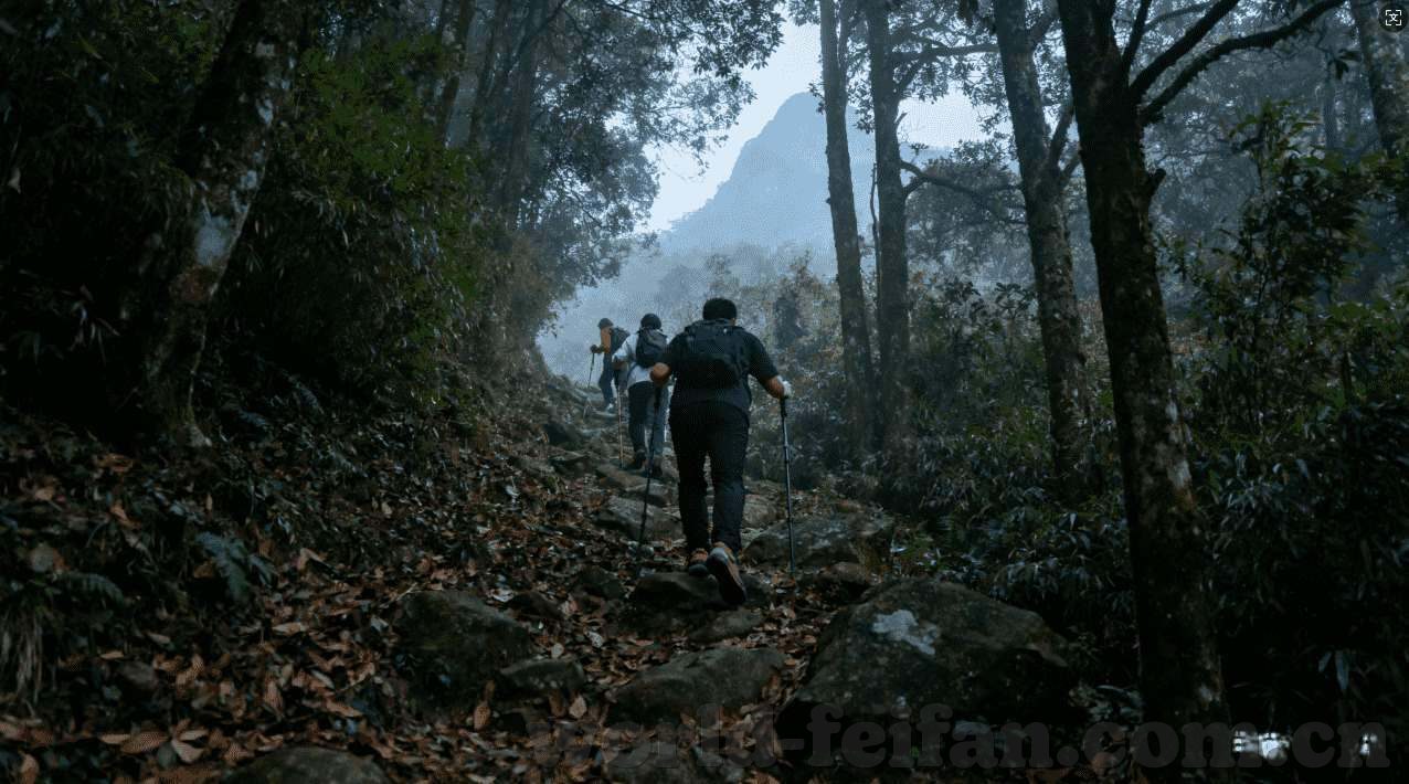 德州扑克 叫牌 规则-德州扑克叫牌规则解析